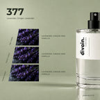 divain.377 fragrance pyramid