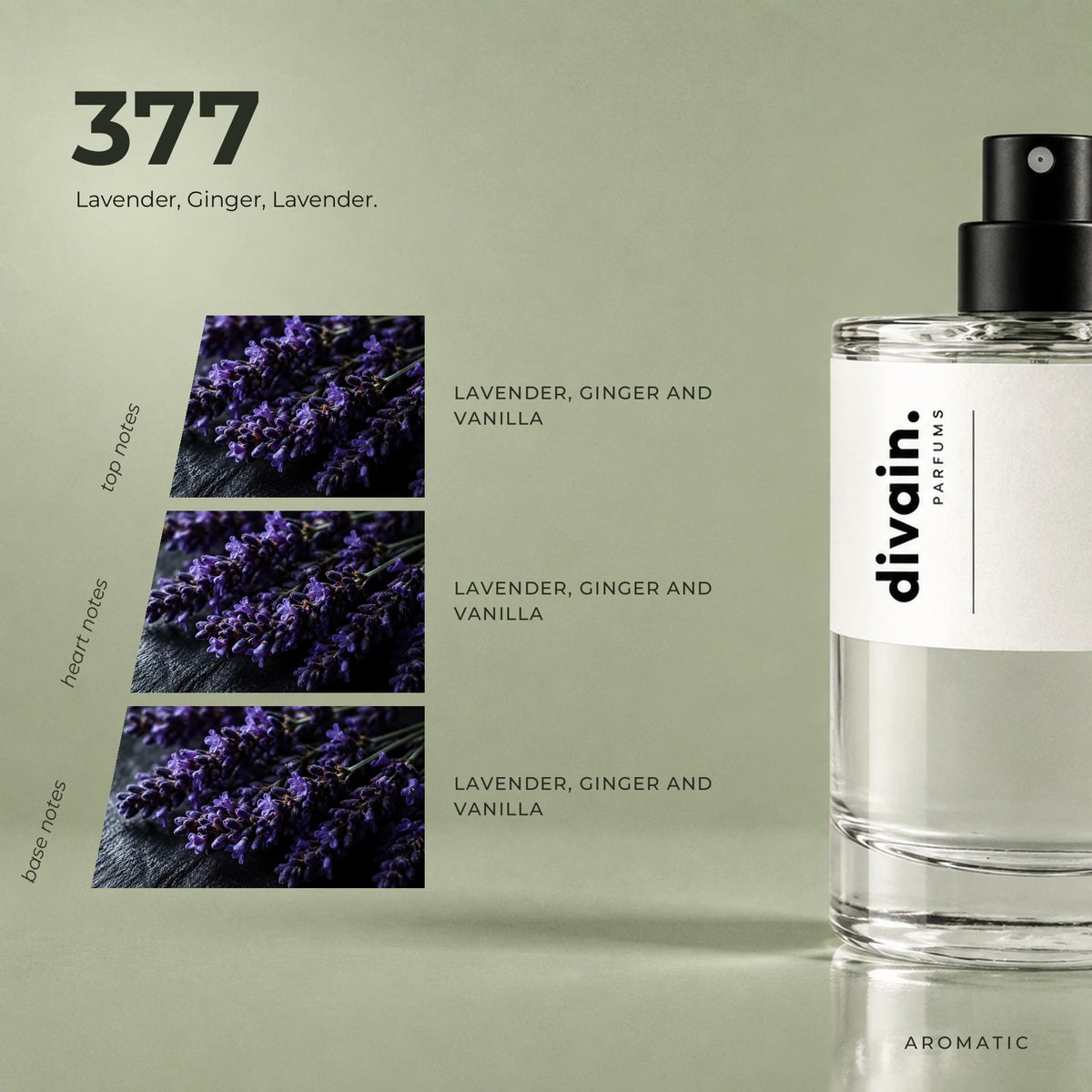 divain.377 fragrance pyramid
