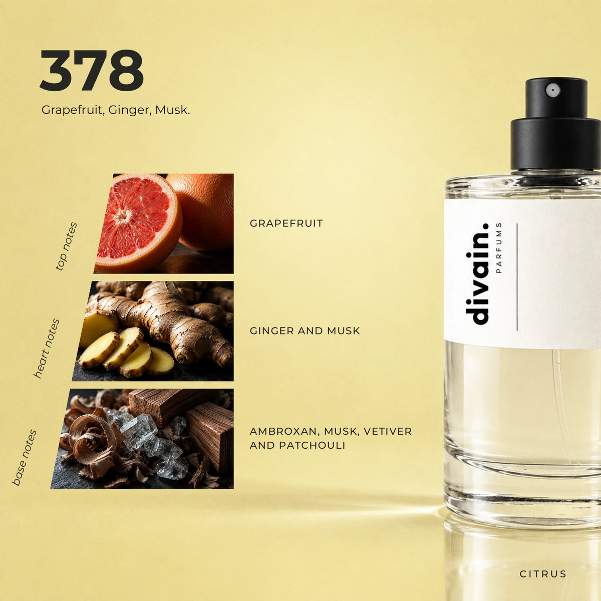 divain.378 fragrance pyramid