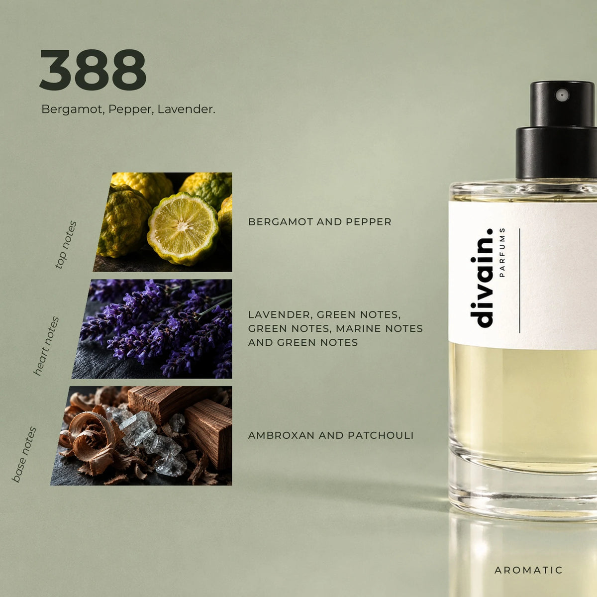 divain.388 fragrance pyramid