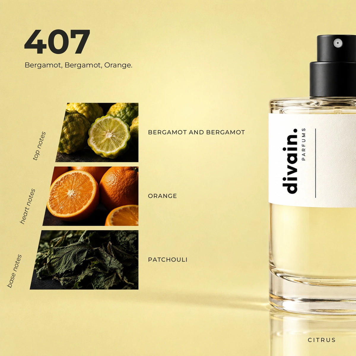 divain.407 fragrance pyramid