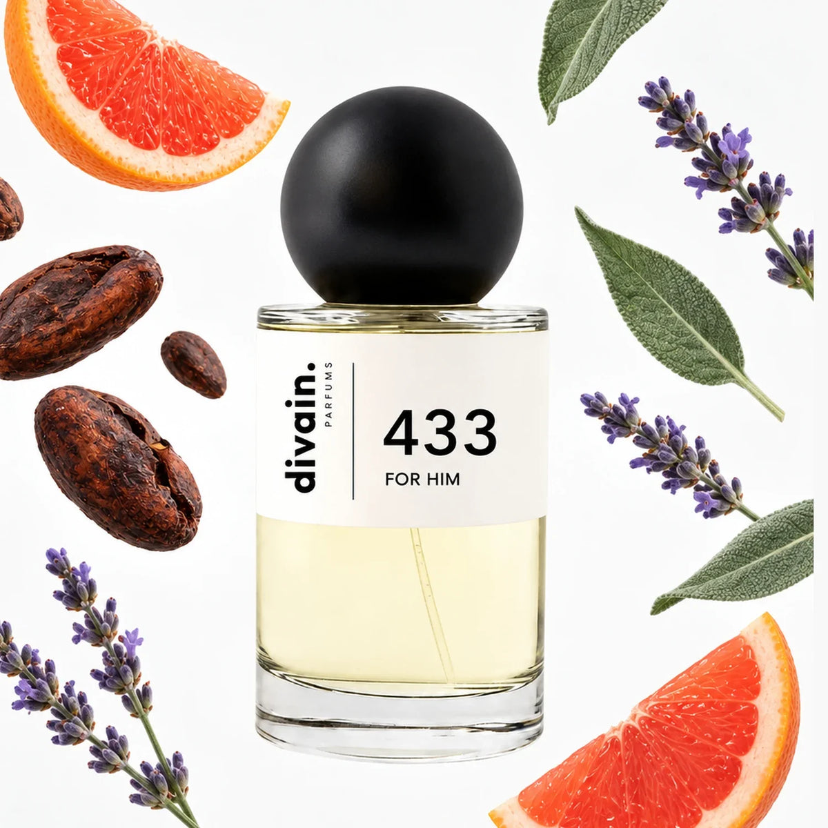 divain-433 notas