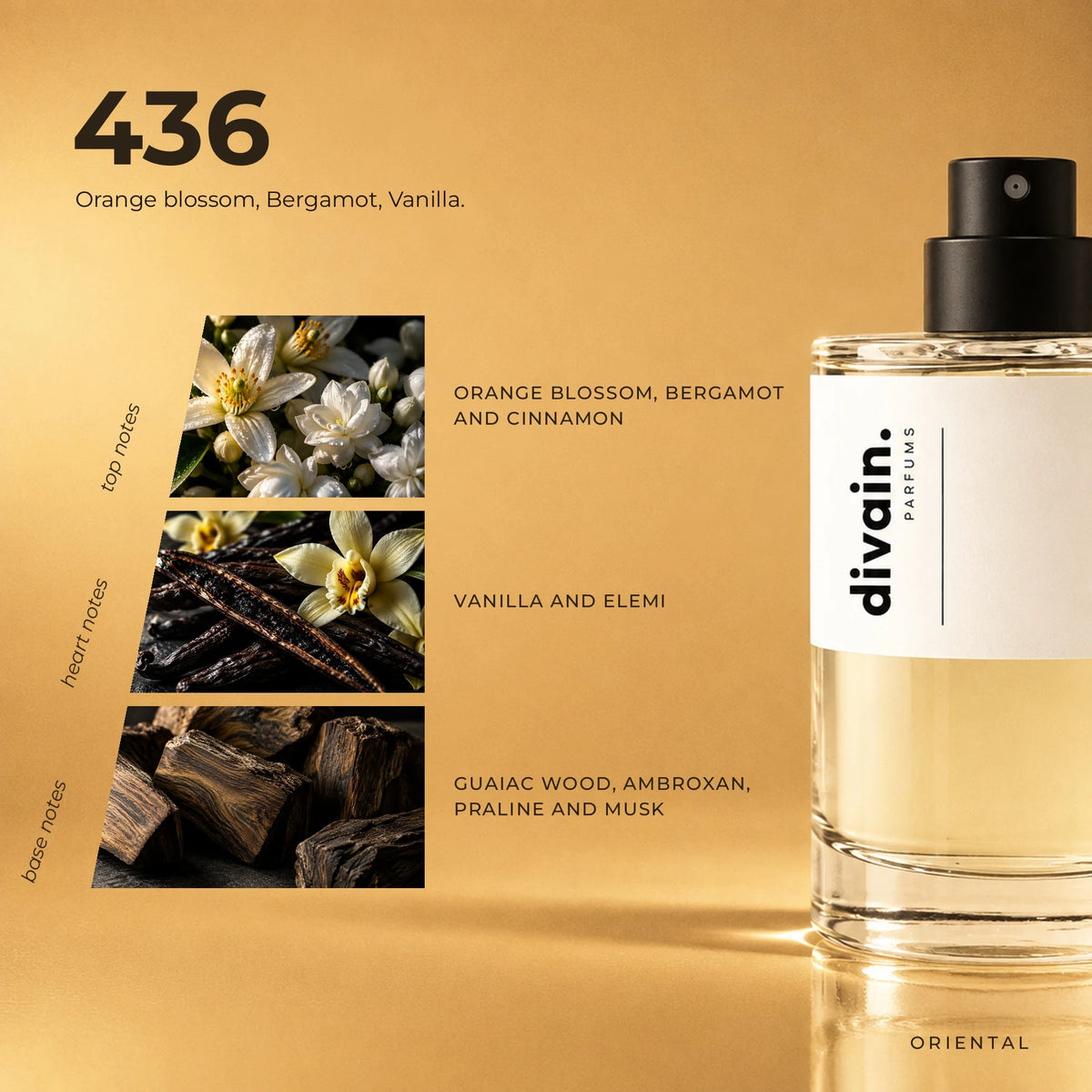 divain.436 fragrance pyramid