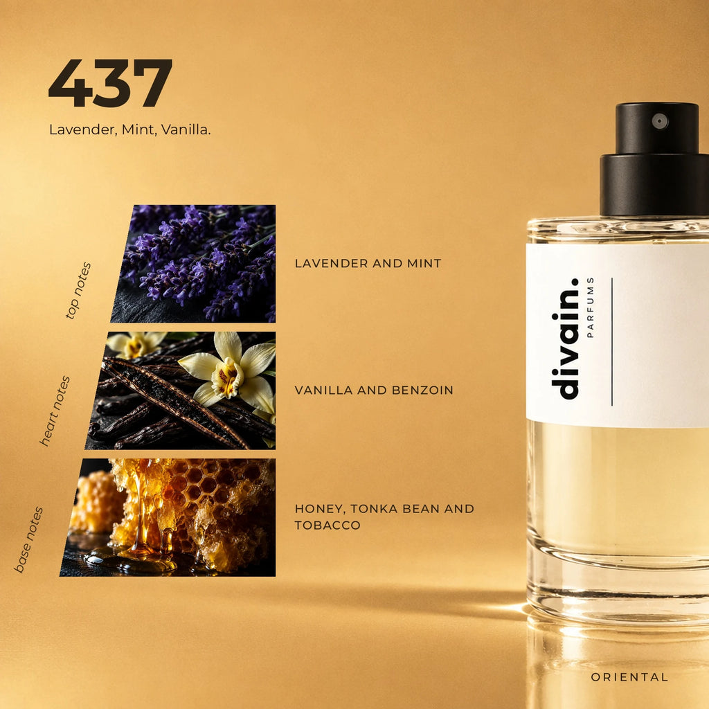 divain.437 fragrance pyramid