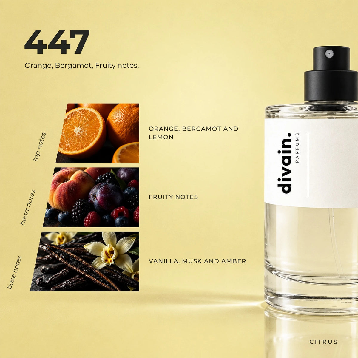 divain.447 fragrance pyramid