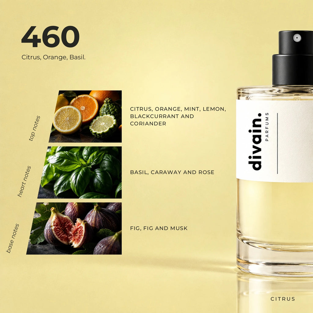 divain.460 fragrance pyramid