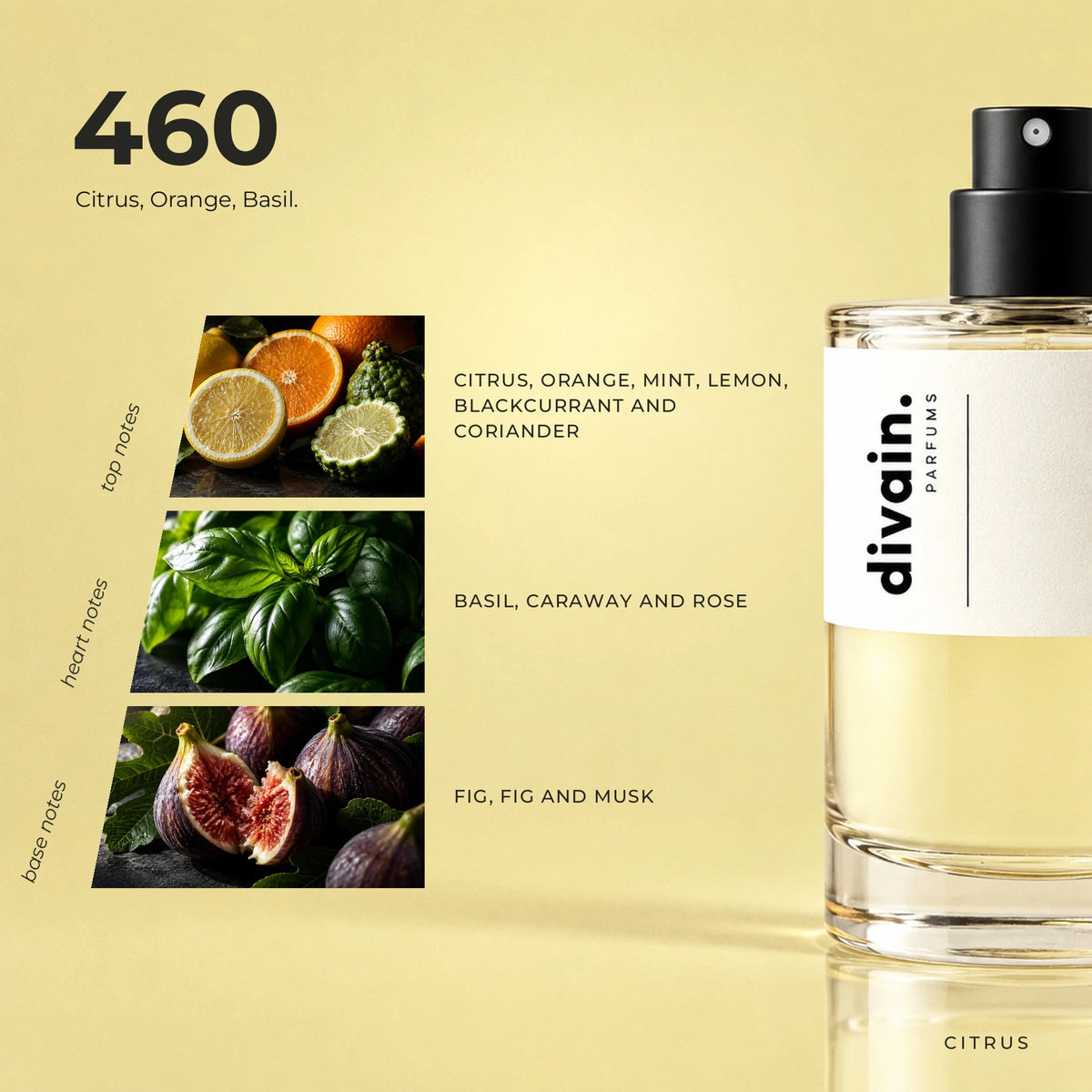 divain.460 fragrance pyramid