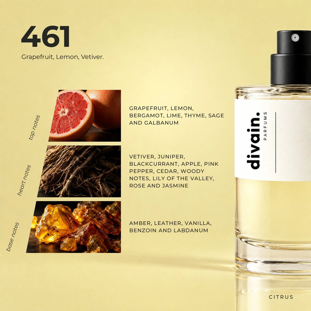 divain.461 fragrance pyramid