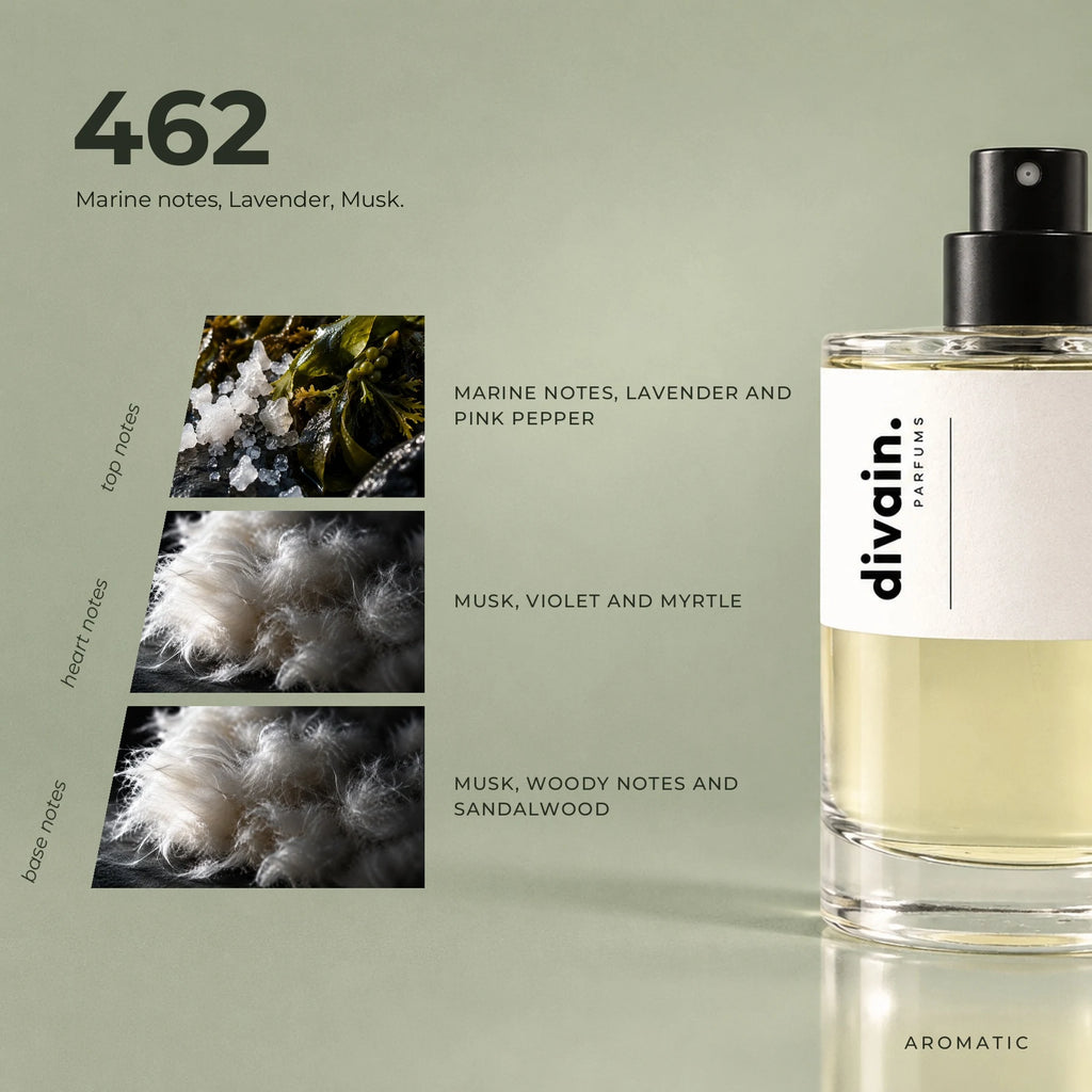 divain.462 fragrance pyramid
