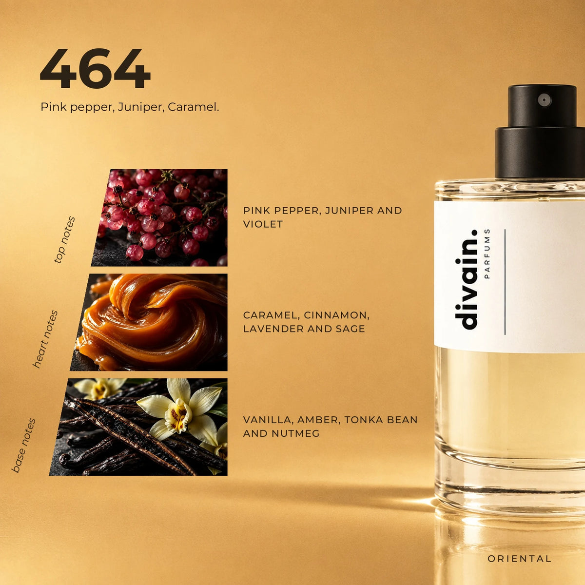 divain.464 fragrance pyramid