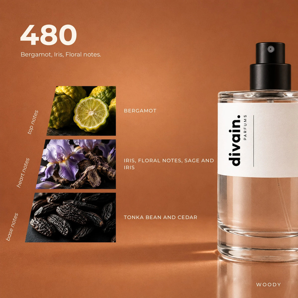 divain.480 fragrance pyramid