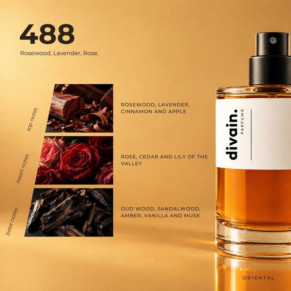 divain.488 fragrance pyramid