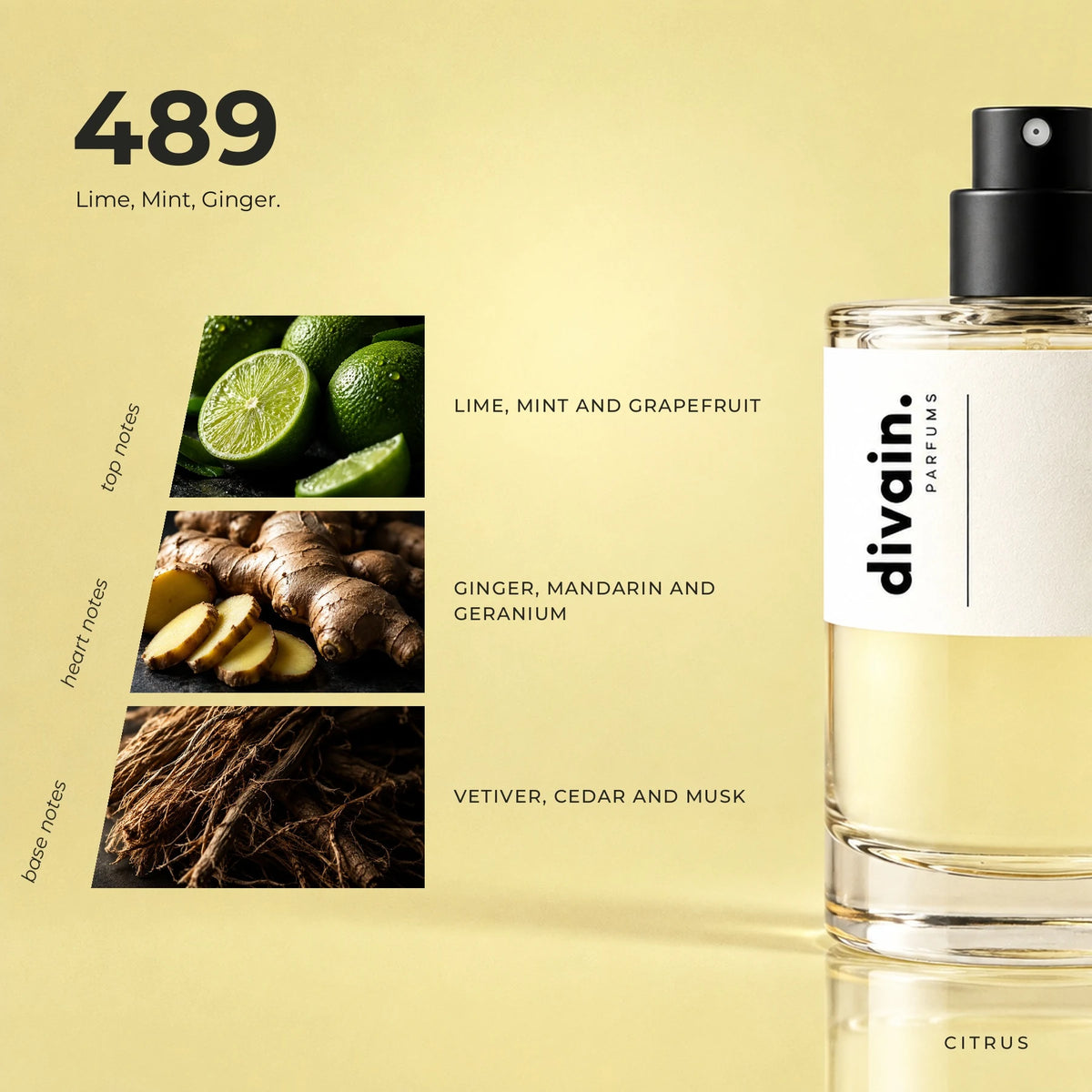 divain.489 fragrance pyramid