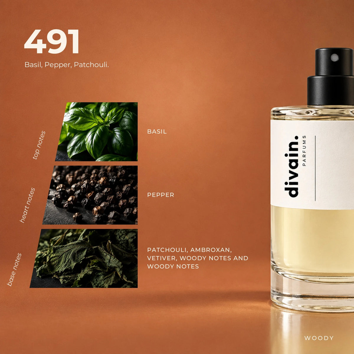 divain.491 fragrance pyramid