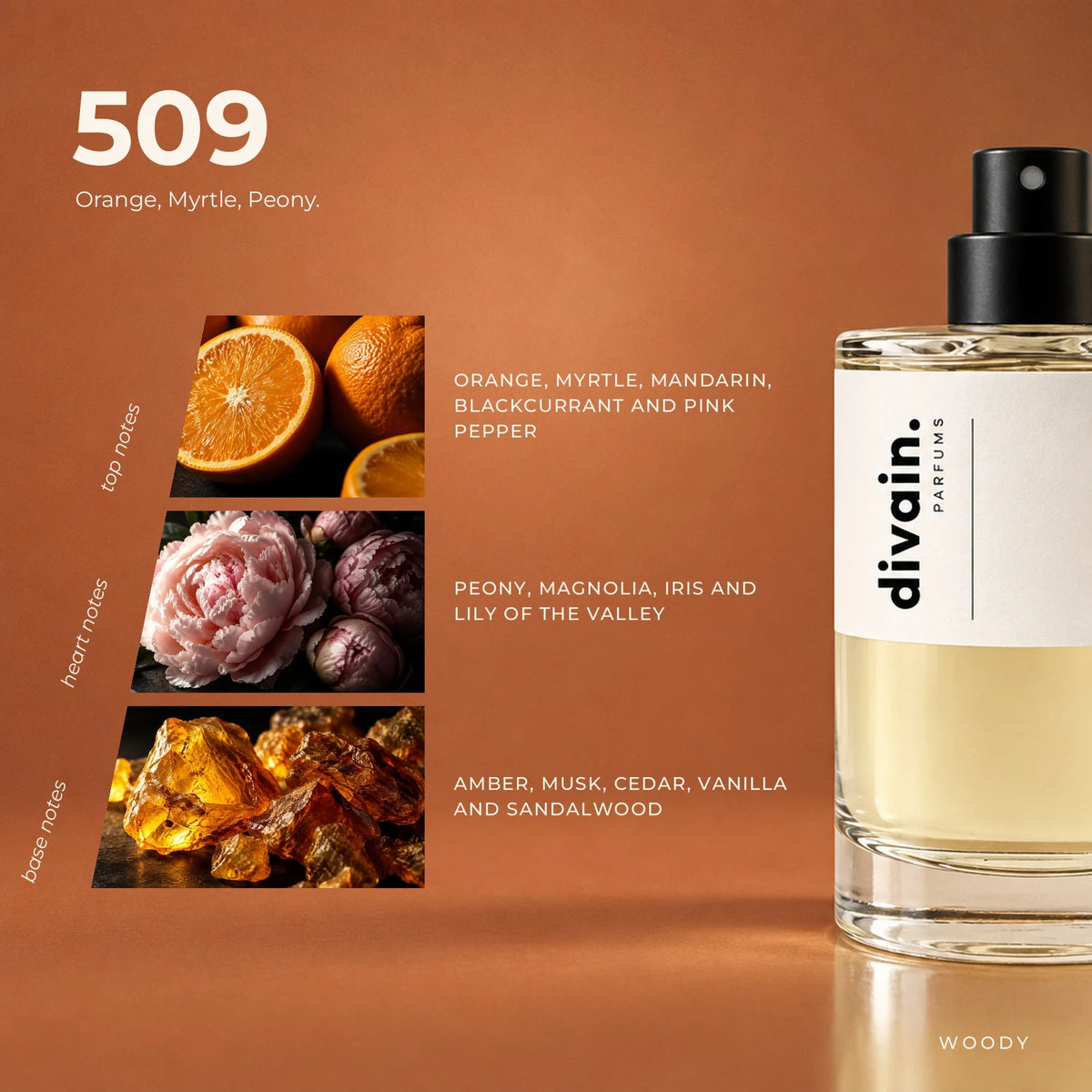 divain.509 fragrance pyramid