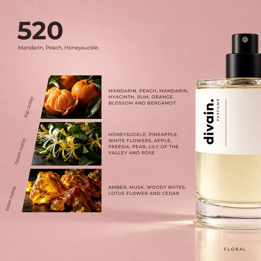 divain.520 fragrance pyramid