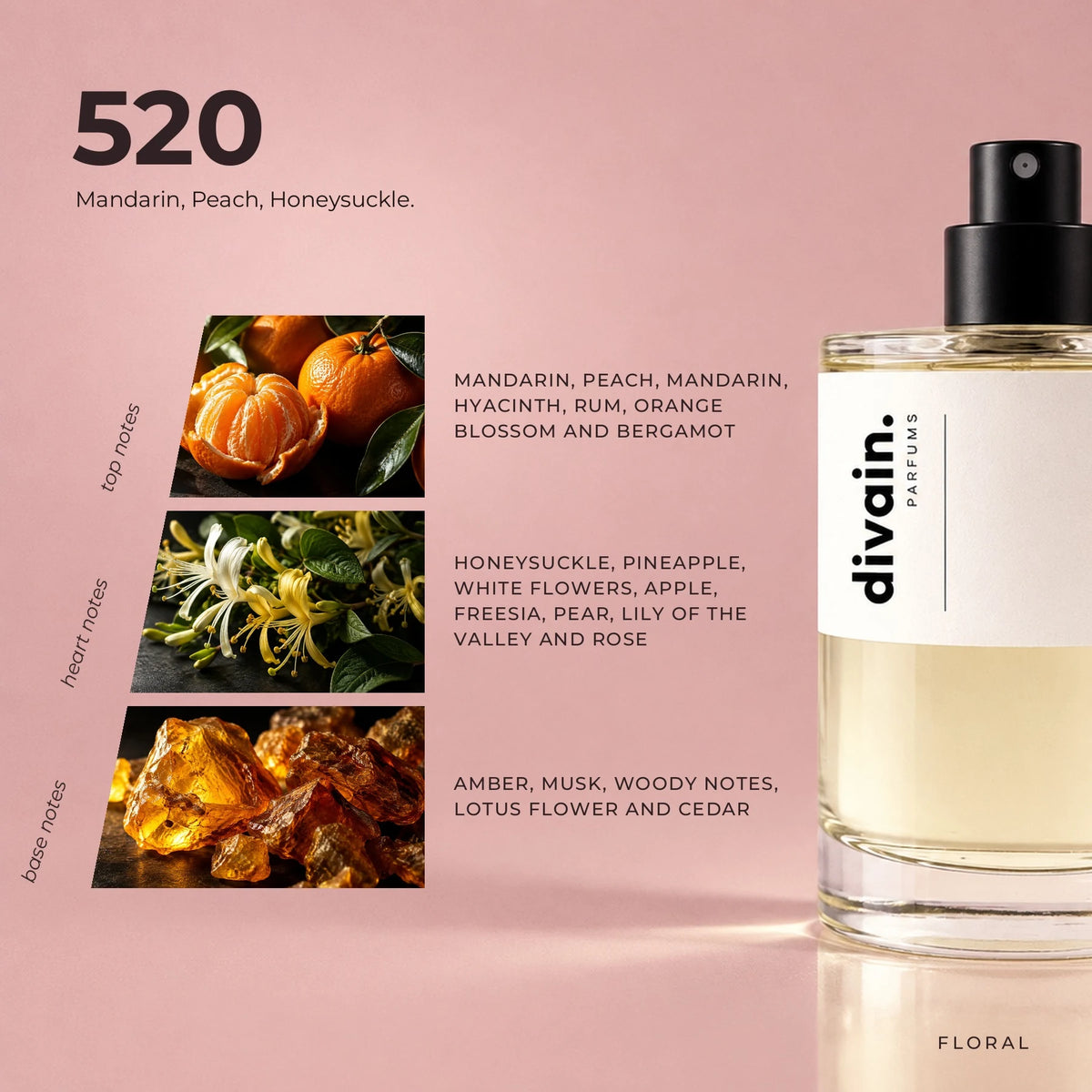 divain.520 fragrance pyramid