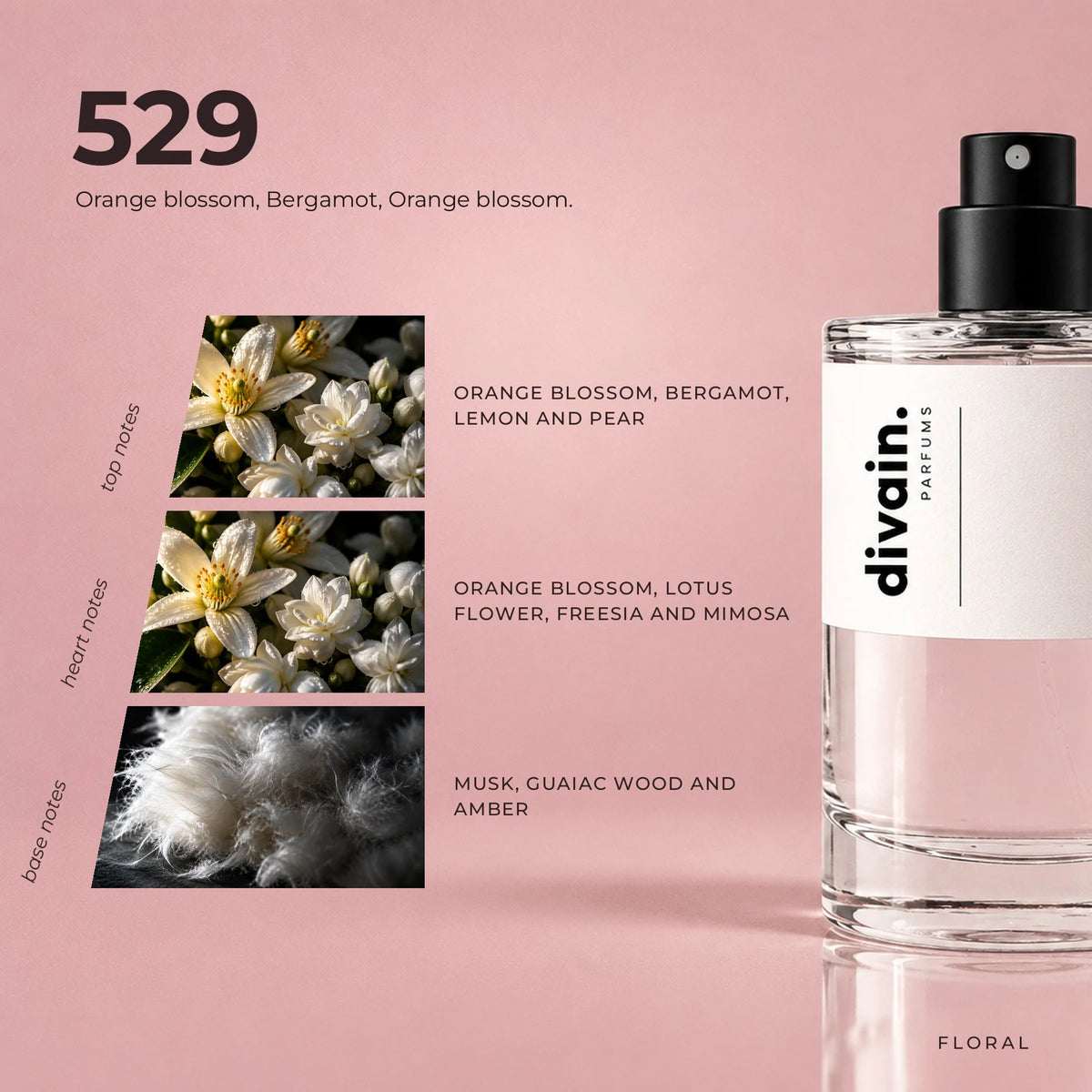 divain.529 fragrance pyramid