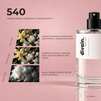 divain.540 fragrance pyramid