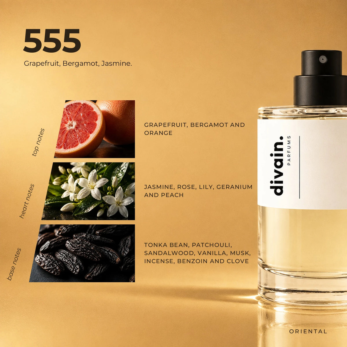 divain.555 fragrance pyramid