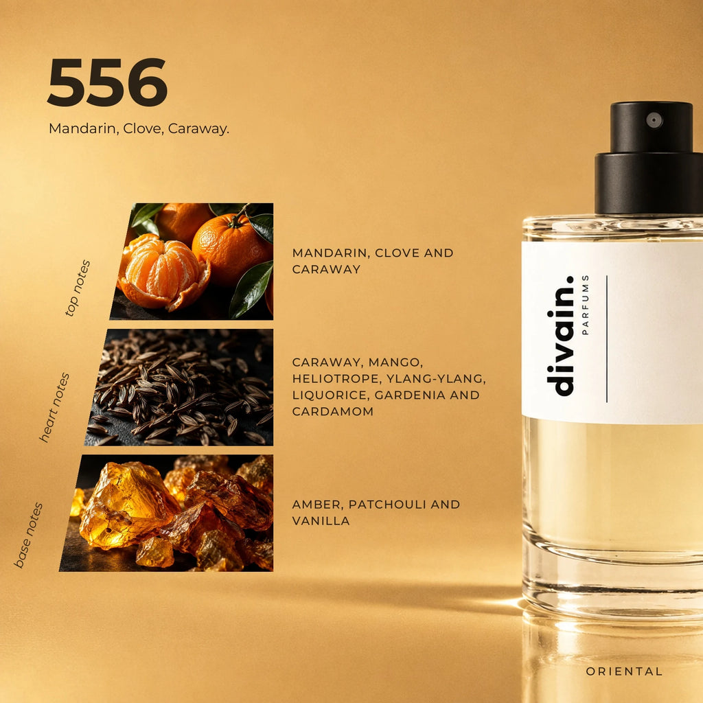 divain.556 fragrance pyramid