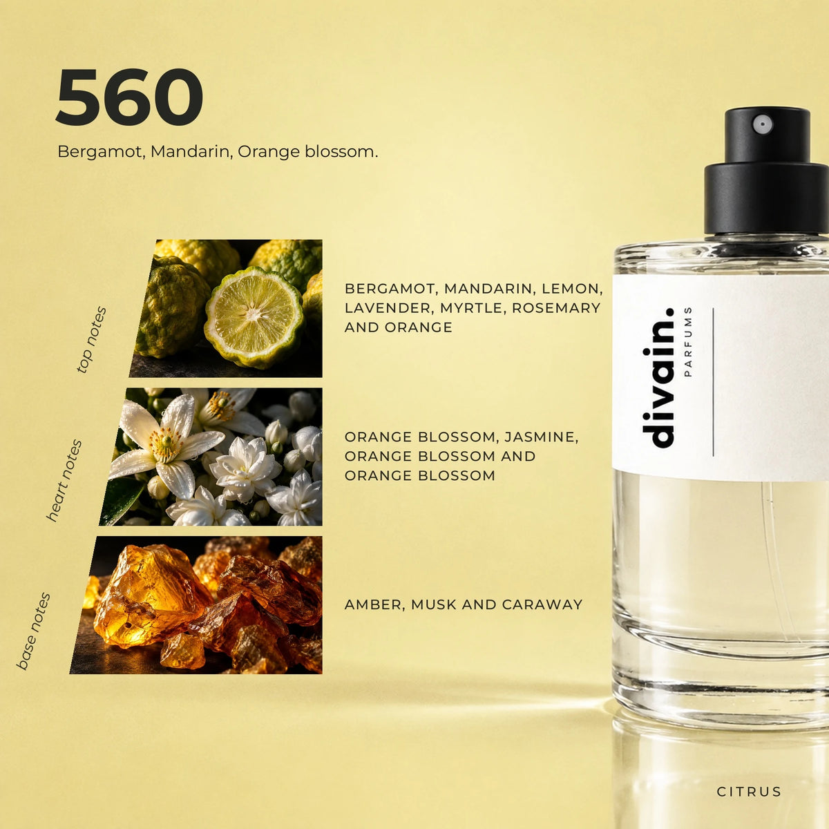 divain.560 fragrance pyramid
