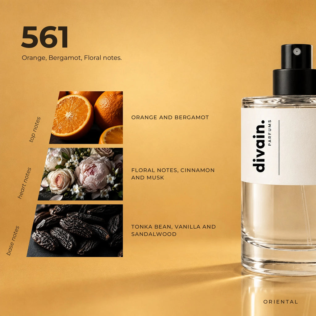divain.561 fragrance pyramid