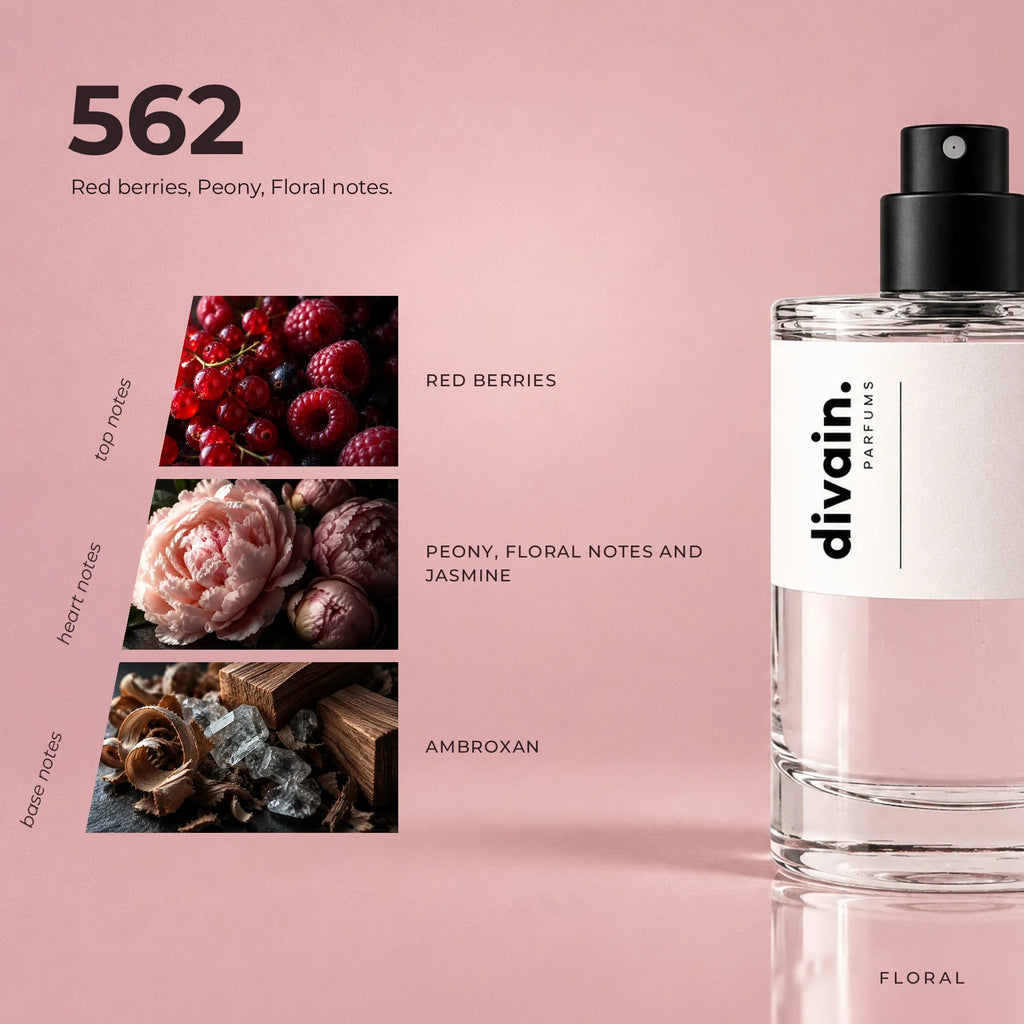 divain.562 fragrance pyramid