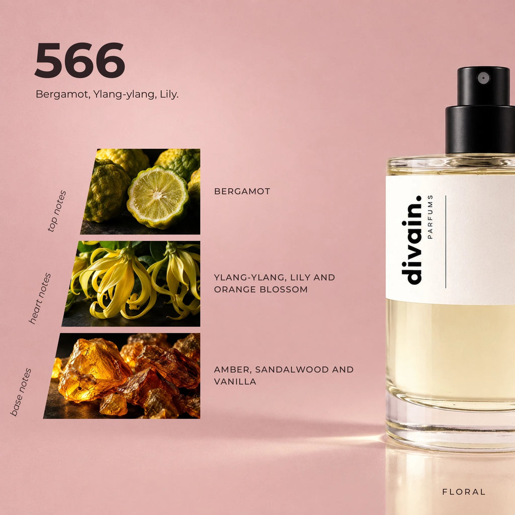 divain.566 fragrance pyramid
