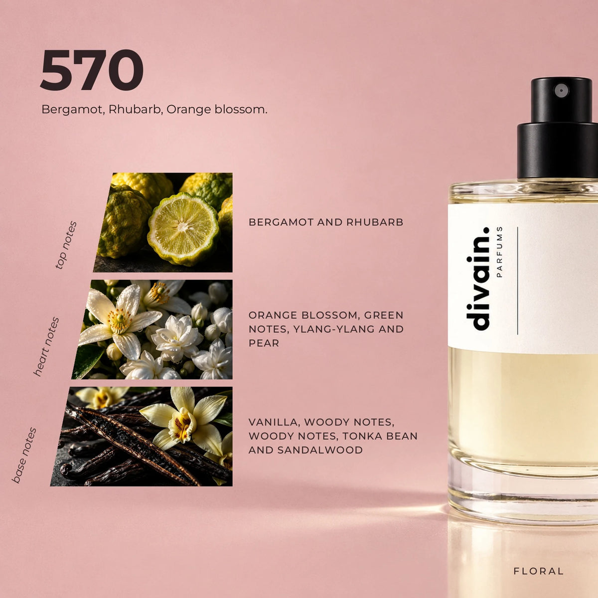 divain.570 fragrance pyramid