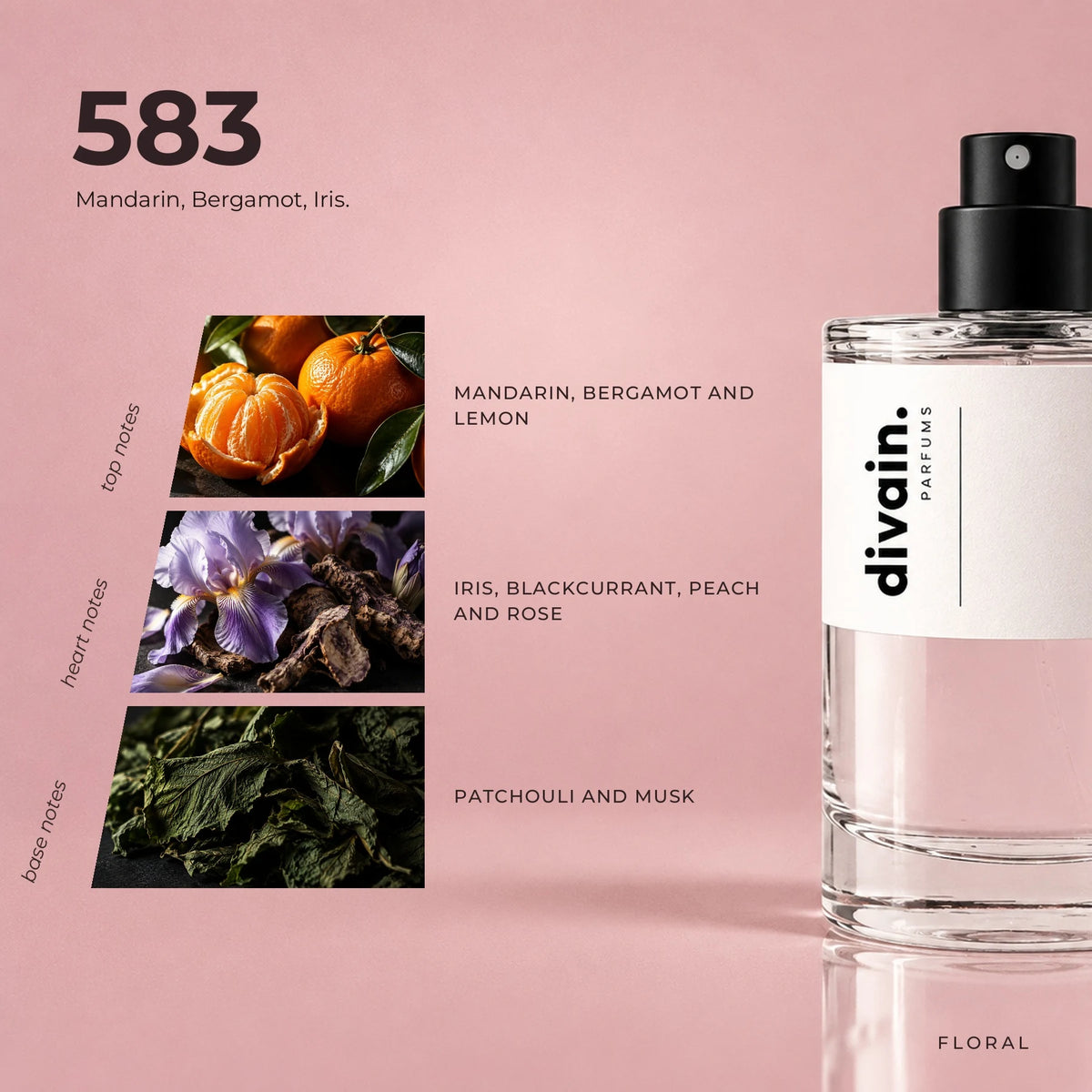 divain.583 fragrance pyramid