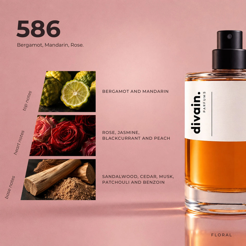divain.586 fragrance pyramid