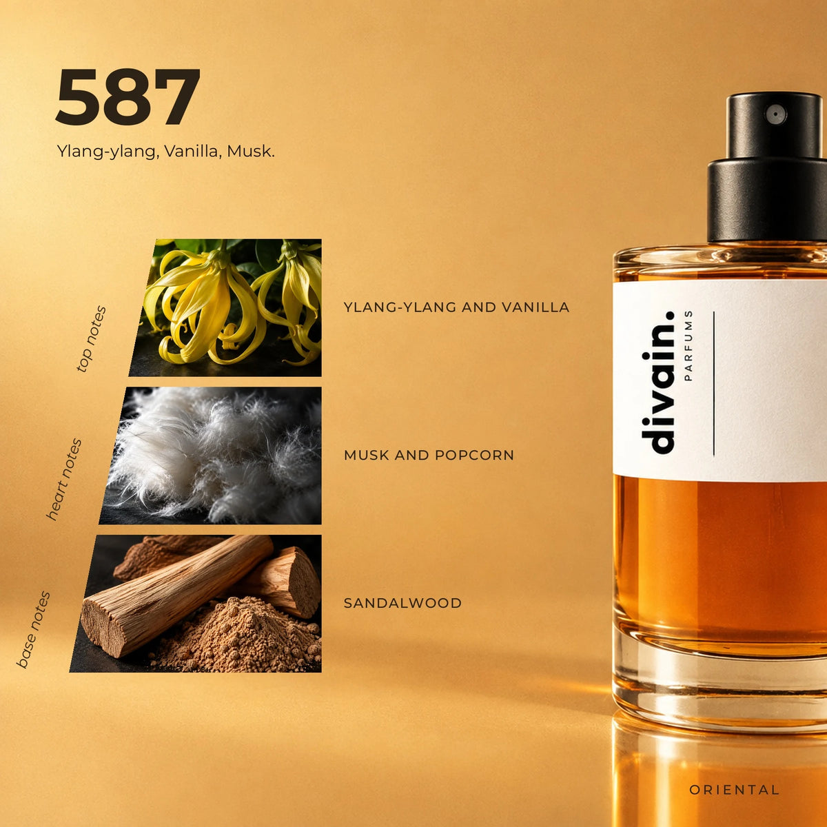 divain.587 fragrance pyramid