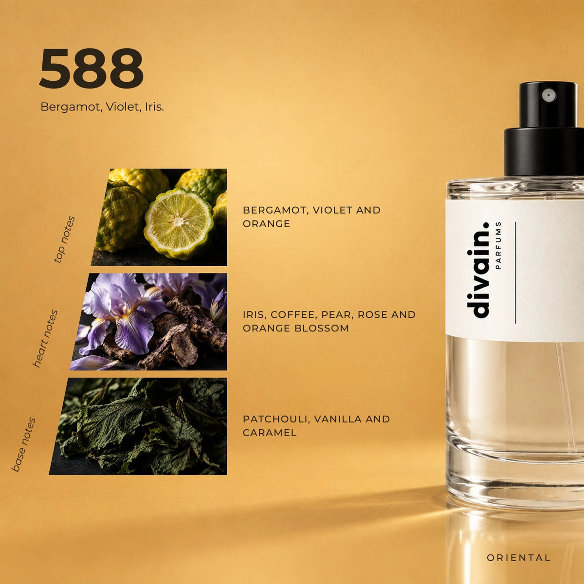 divain.588 fragrance pyramid