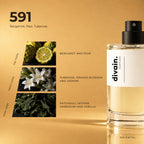 divain.591 fragrance pyramid