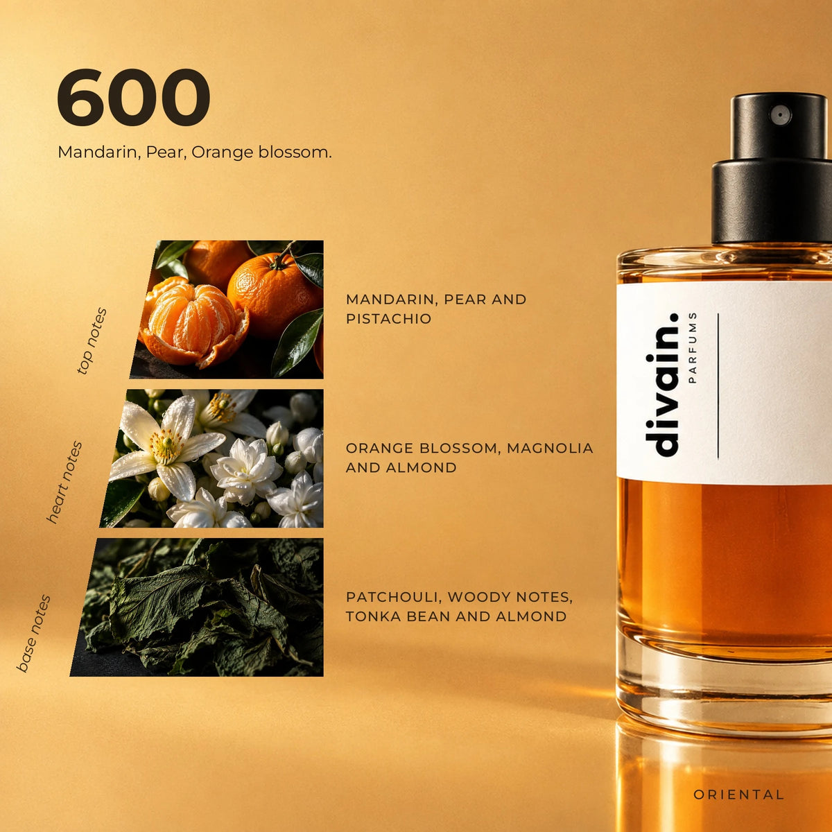 divain.600 fragrance pyramid