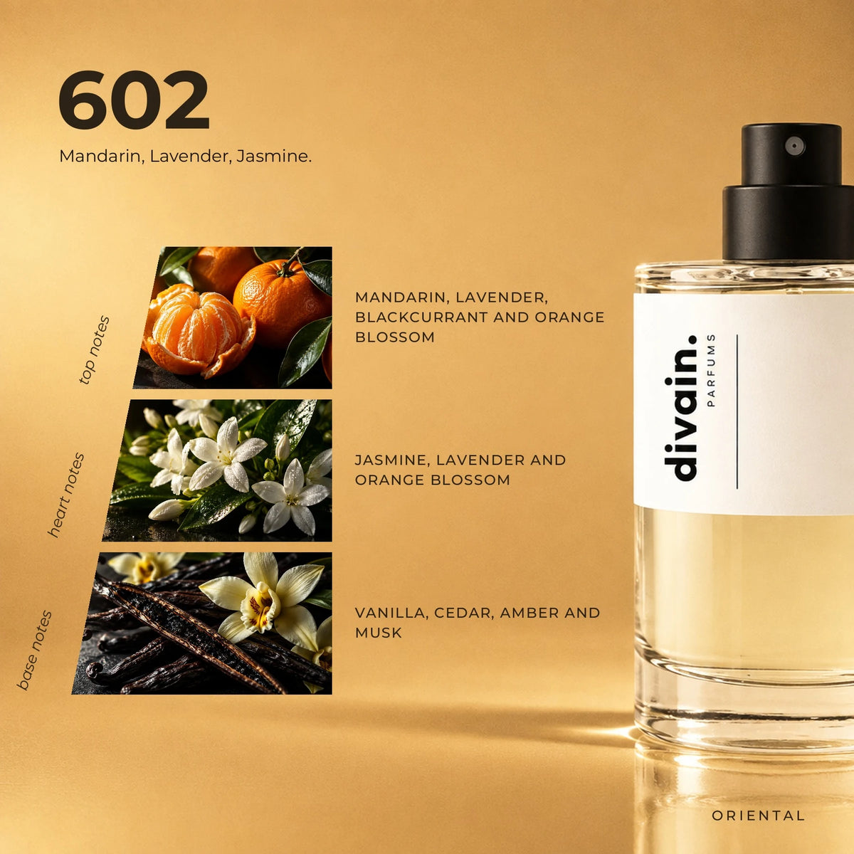divain.602 fragrance pyramid