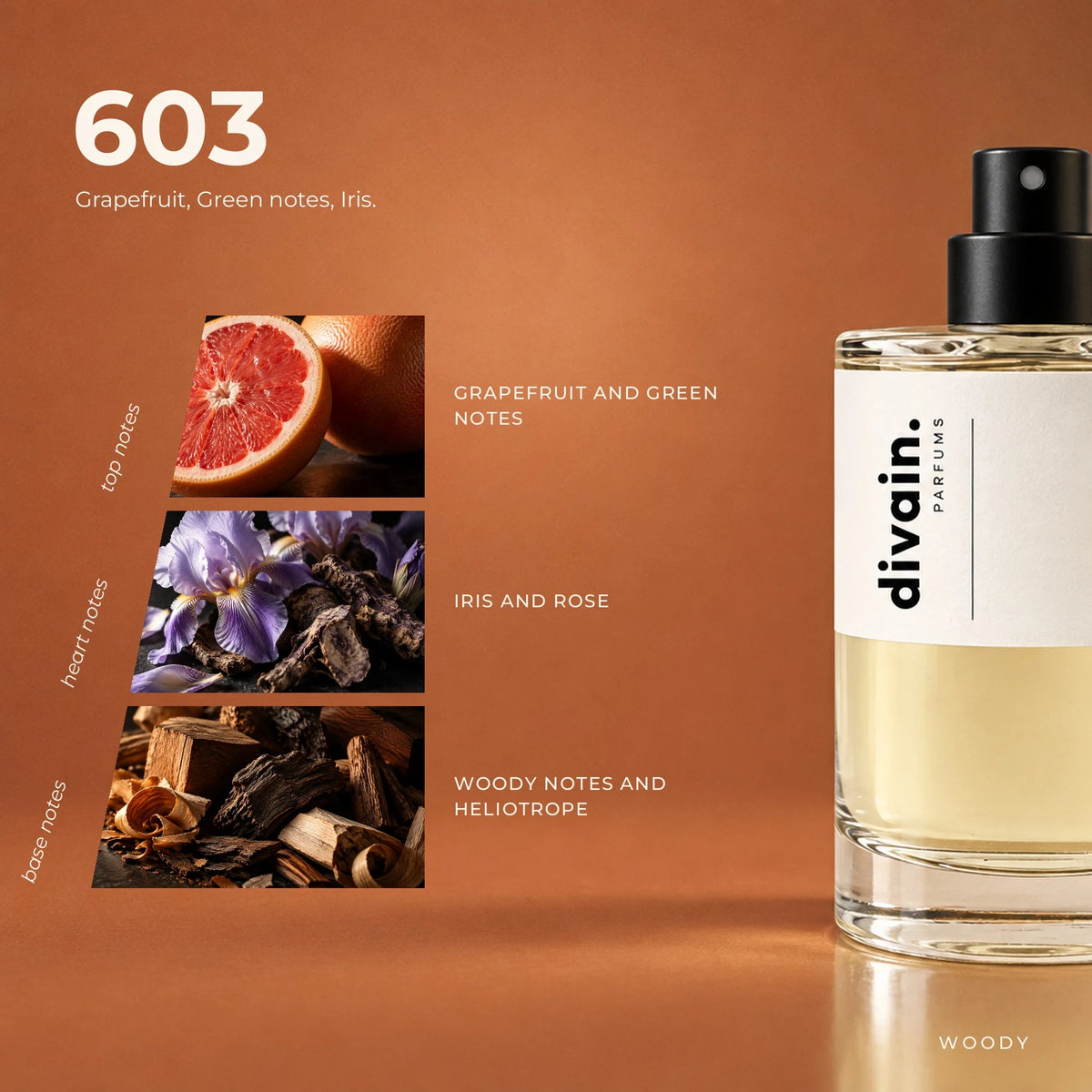 divain.603 fragrance pyramid
