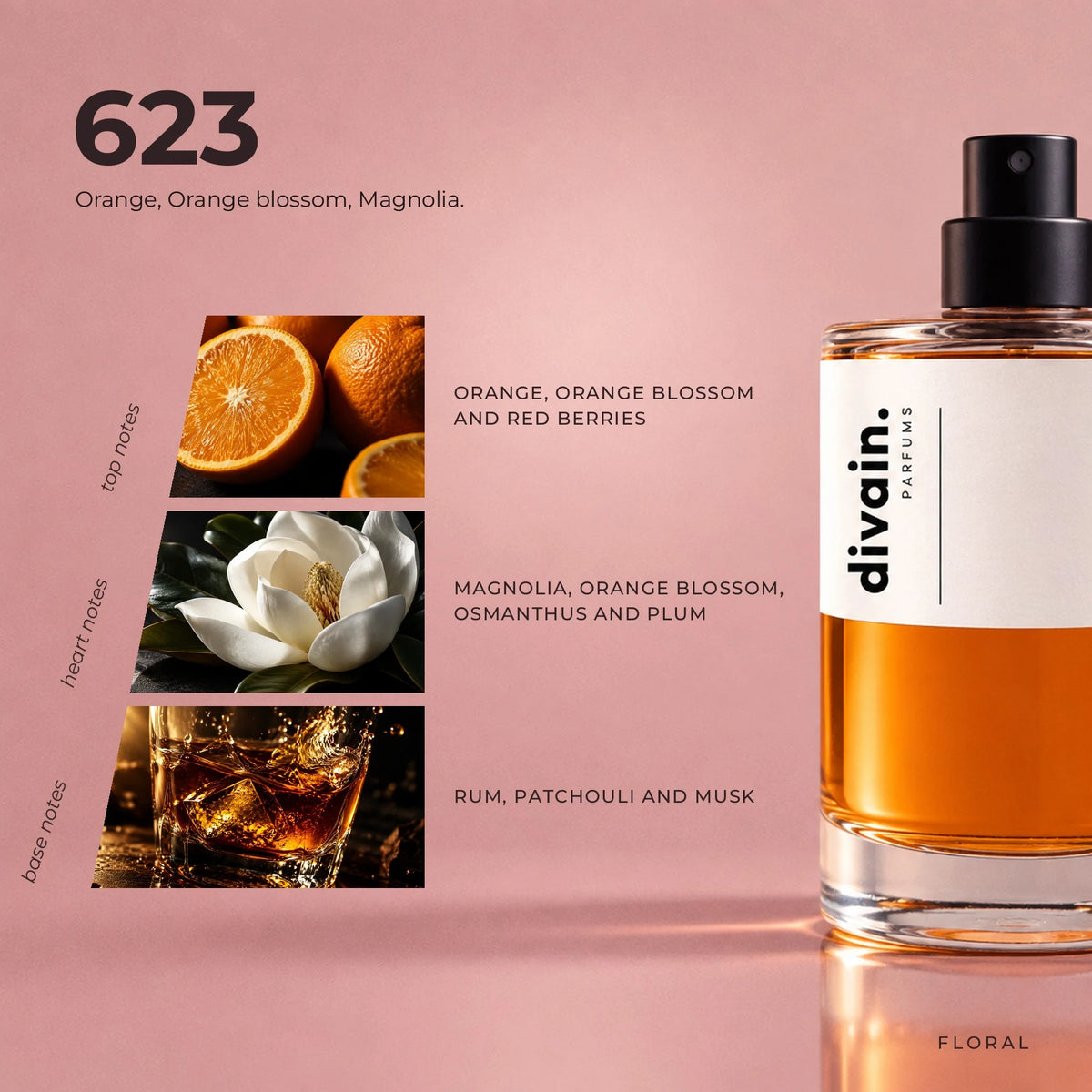 divain.623 fragrance pyramid