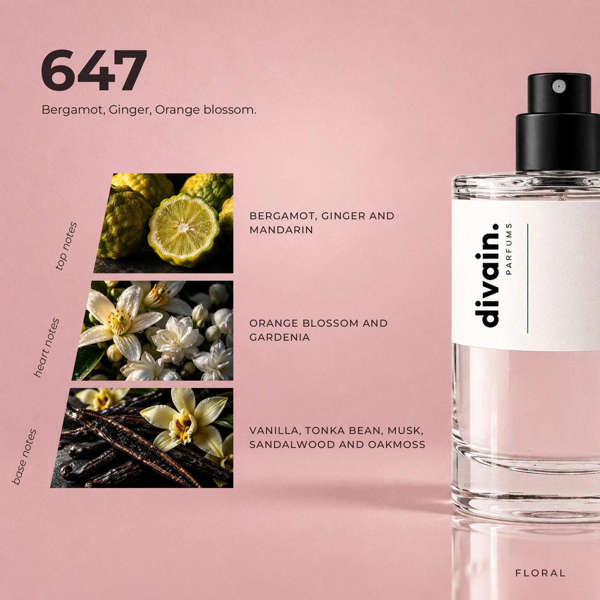 divain.647 fragrance pyramid