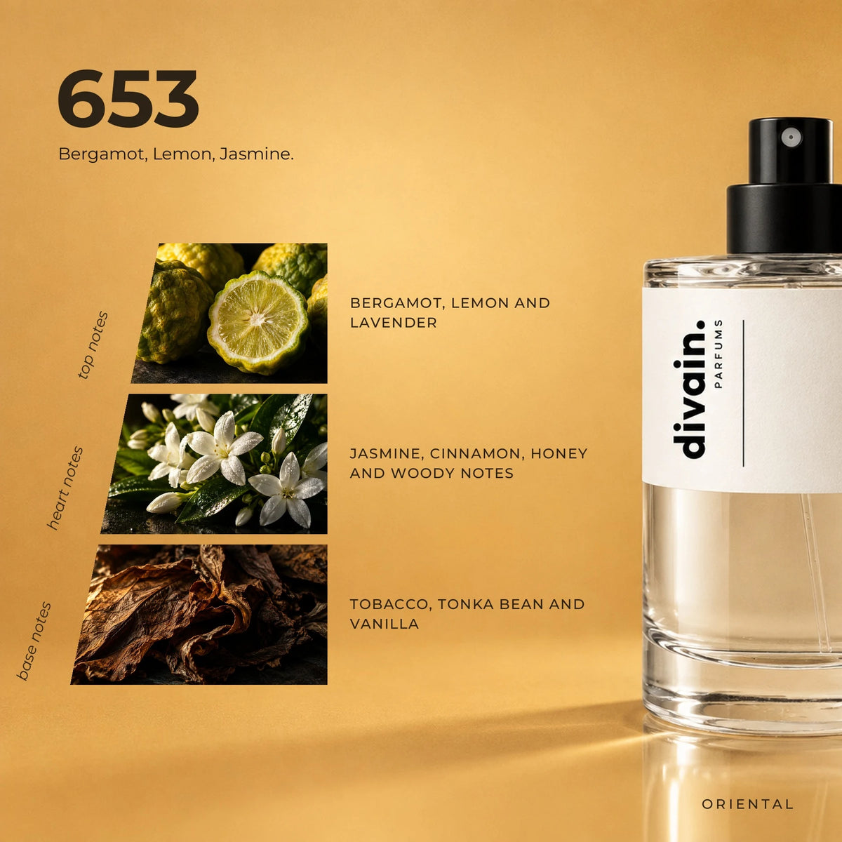 divain.653 fragrance pyramid