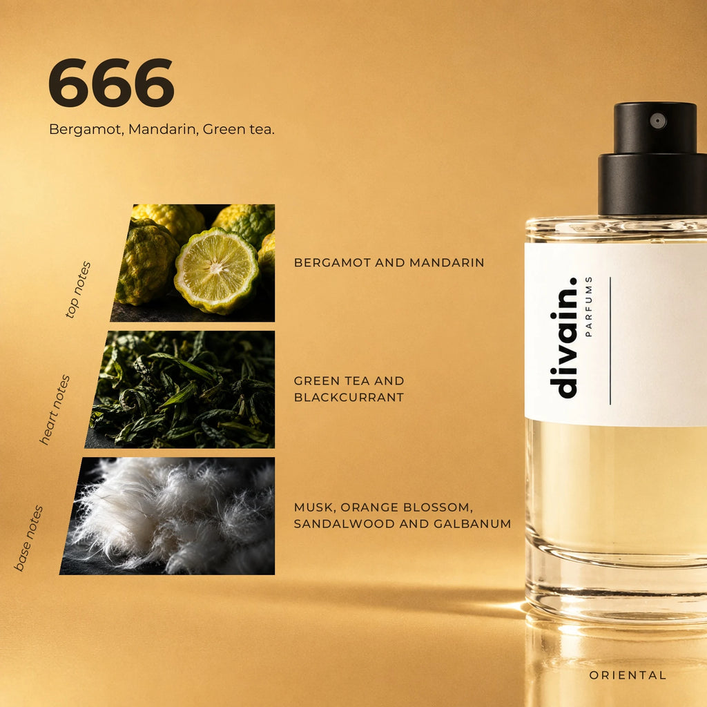 divain.666 fragrance pyramid