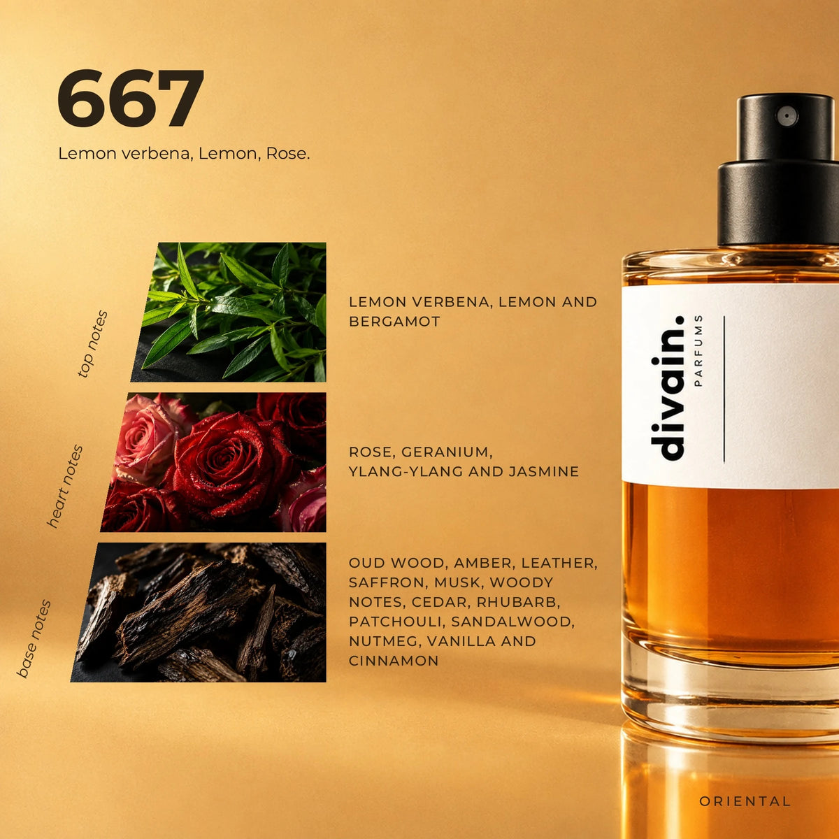 divain.667 fragrance pyramid