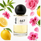 divain-667 notas