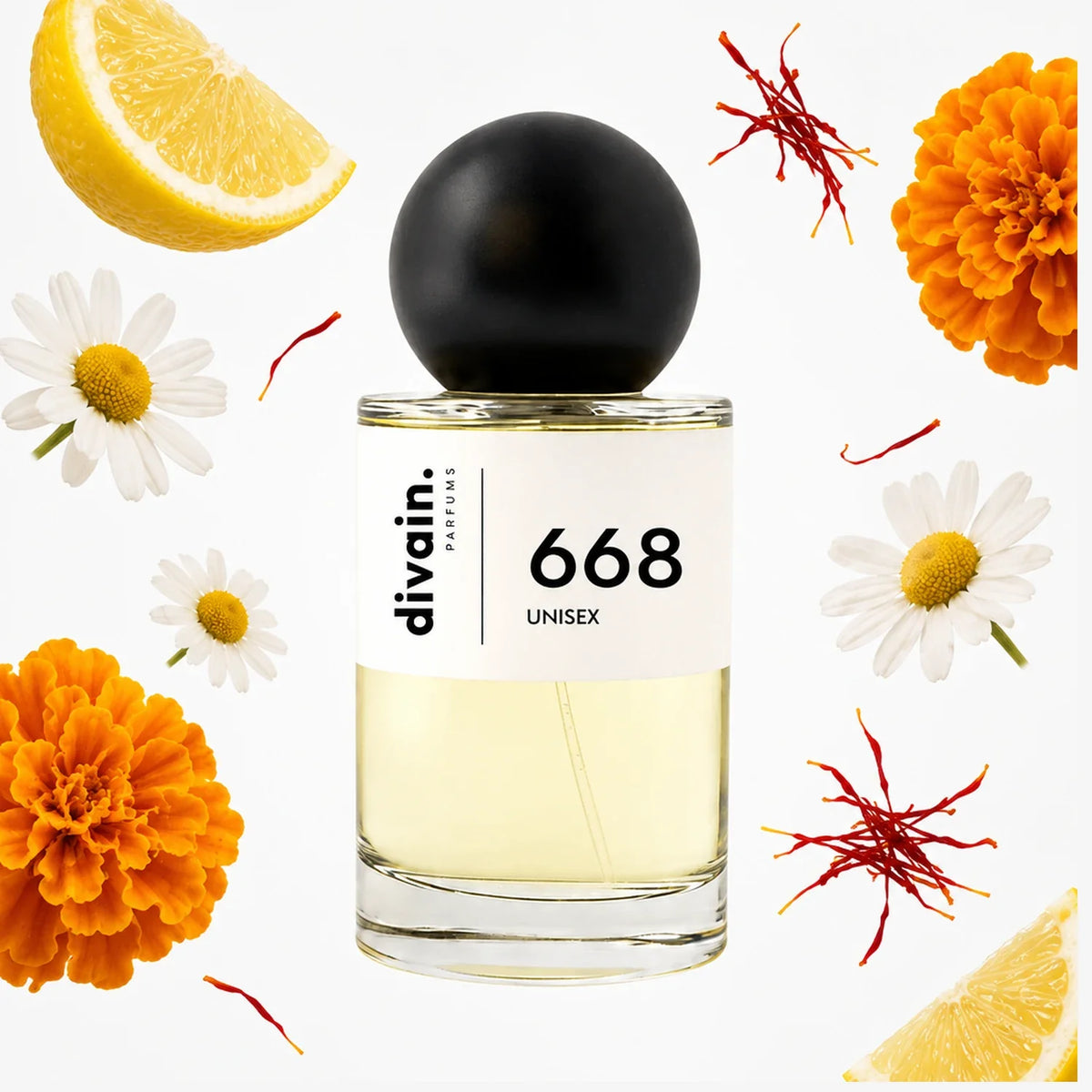 divain-668 notas