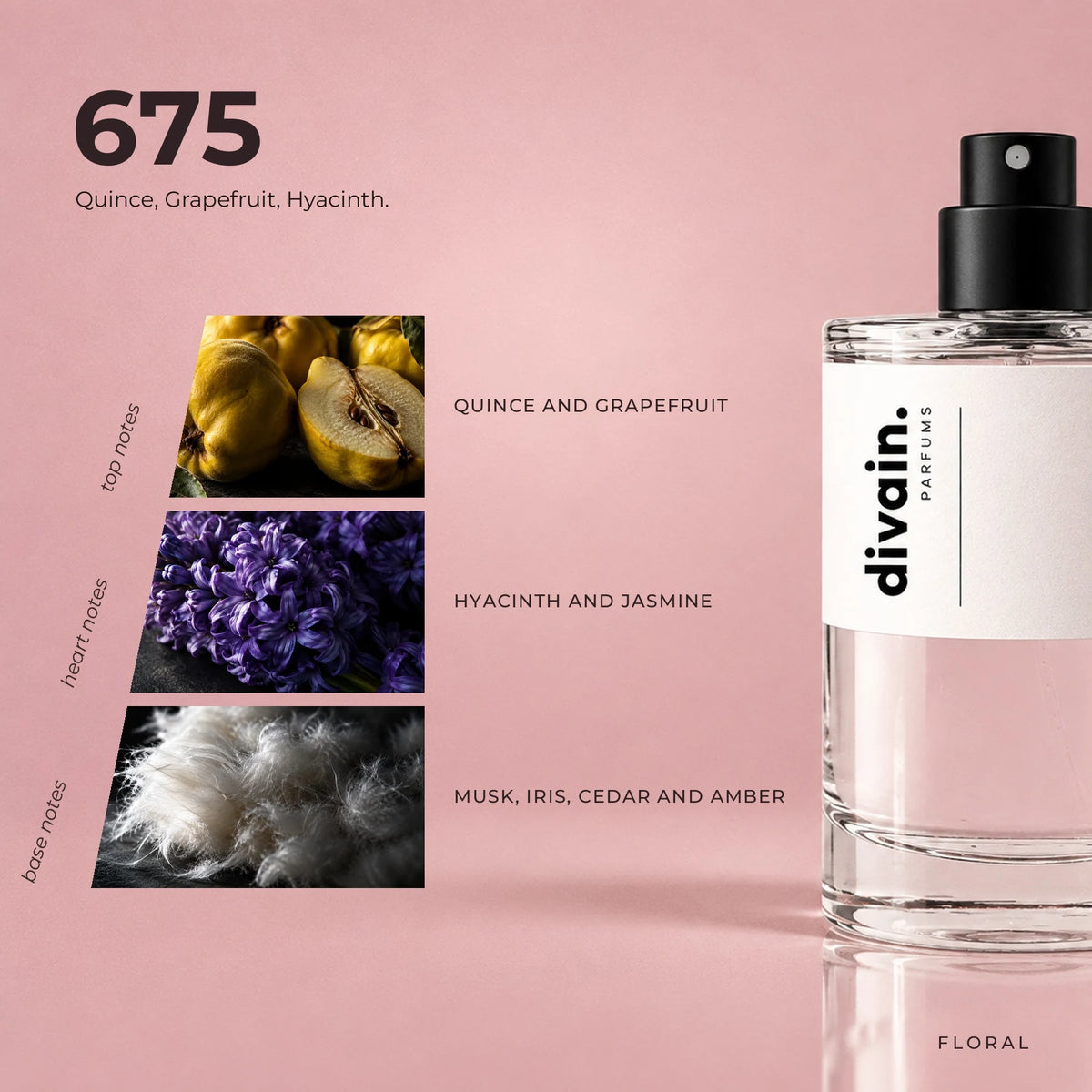 divain.675 fragrance pyramid