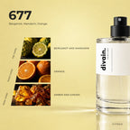divain.677 fragrance pyramid