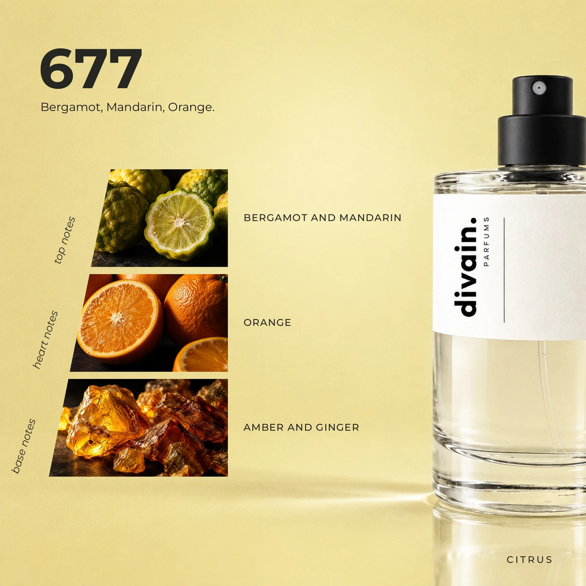 divain.677 fragrance pyramid