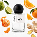 divain-677 notas