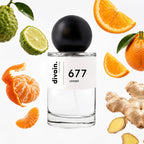divain-677 notas